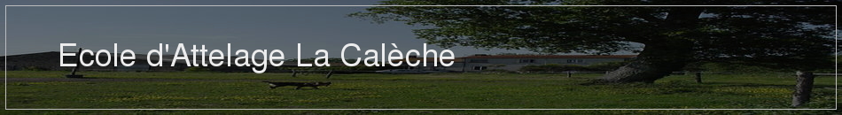Ecole d'Attelage La Calèche